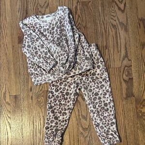 Cat & Jack Pink and Tan Cozy Animal Print Set